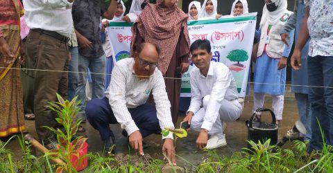 বরগুনায় স্কুল ও কলেজে “উসসাস” এর বৃক্ষরোপণ কর্মসূচি পালিত