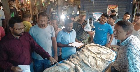 ভোক্তার অভিযানে কেজিতে ৩০০ টাকা কমলো ইলিশের দাম