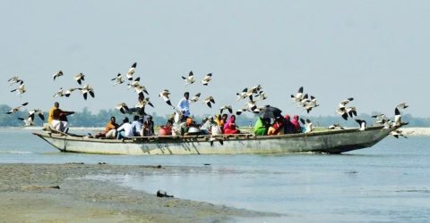 নদী পাড়ে বাড়ছে পাখিপ্রেমী দর্শনার্থীদের ভিড় তিস্তা নদী অতিথি পাখির নির্ভয় বিচরণ ক্ষেত্র