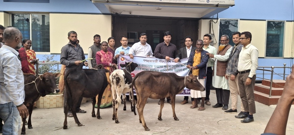 বীরগঞ্জে ক্ষুদ্র নৃ-গোষ্ঠী সম্প্রদায়ের মাঝে ৭০টি গরু বিতরণ