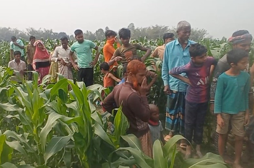 রংপুরে ভুট্টা ক্ষেত থেকে অগ্নিদগ্ধ মরদেহ উদ্ধার