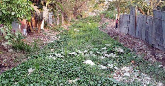 শ্যামা সুন্দরীর মশার উপদ্রবে অতিষ্ঠ রংপুর নগরীর মানুষ