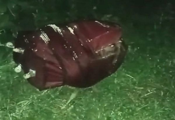 অর্ধগলিত মরদেহ শনাক্তে ব্যর্থ স্বজনরা