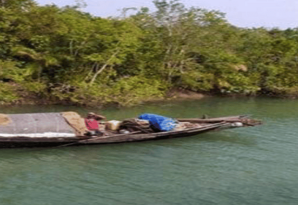 সুন্দরবনে মাছ শিকার অব্যাহত, জীববৈচিত্র্য হুমকির মুখে