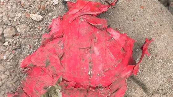 সাতক্ষীরায় থানার পুরাতন ভবন ভাঙার সময় ককটেল বিস্ফোরণ, আহত ২ শ্রমিক