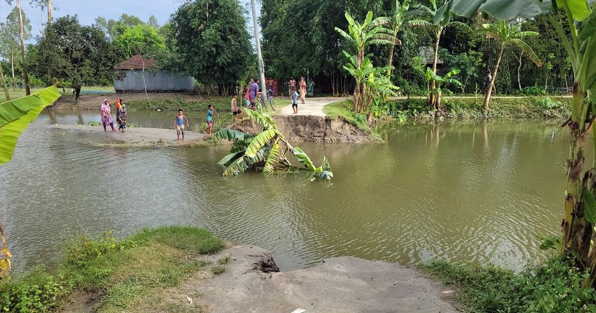 ফুলবাড়ীতে ধরলা নদীর স্রোতে কালভার্ট ধসে ৫০ ফুট সড়ক বিলীন, যোগাযোগ বিচ্ছিন্ন