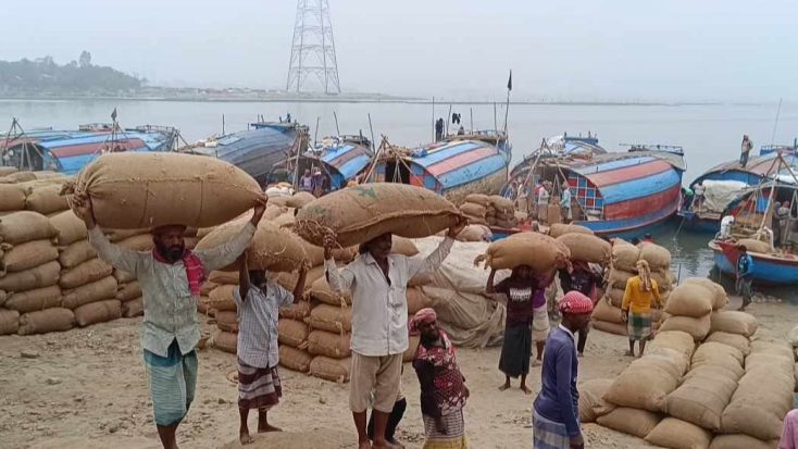 আশুগঞ্জে ধানবাজারে অস্থিরতা, কৃষক ও ব্যবসায়ীরা লোকসানে