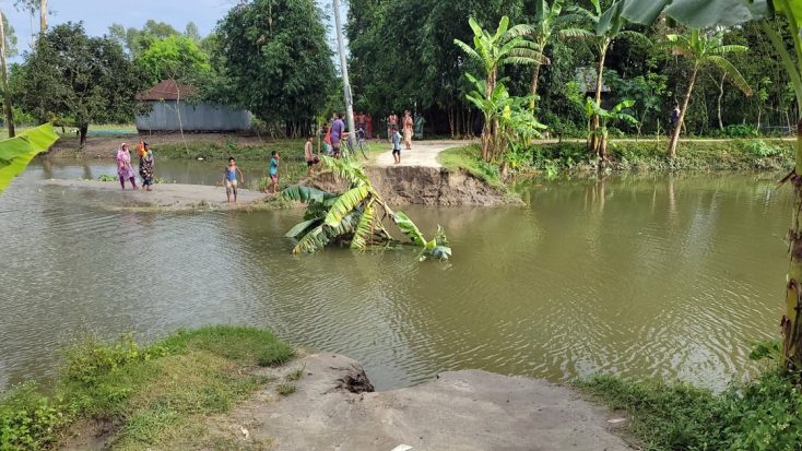ফুলবাড়ীতে ধরলা নদীর স্রোতে কালভার্ট ধসে ৫০ ফুট সড়ক বিলীন, যোগাযোগ বিচ্ছিন্ন