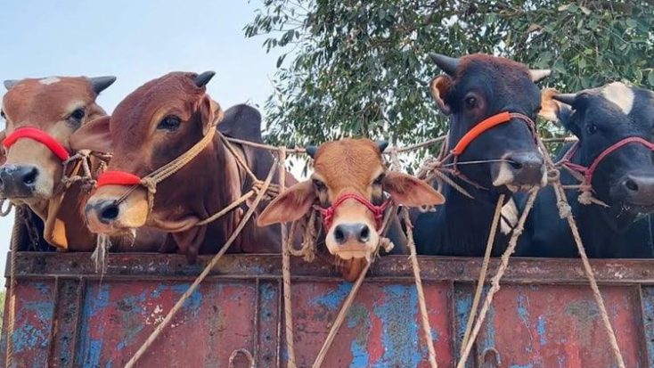 প্রতীকী ছবি। ফাইল ফটো