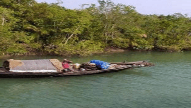 সুন্দরবনে মাছ শিকার অব্যাহত, জীববৈচিত্র্য হুমকির মুখে